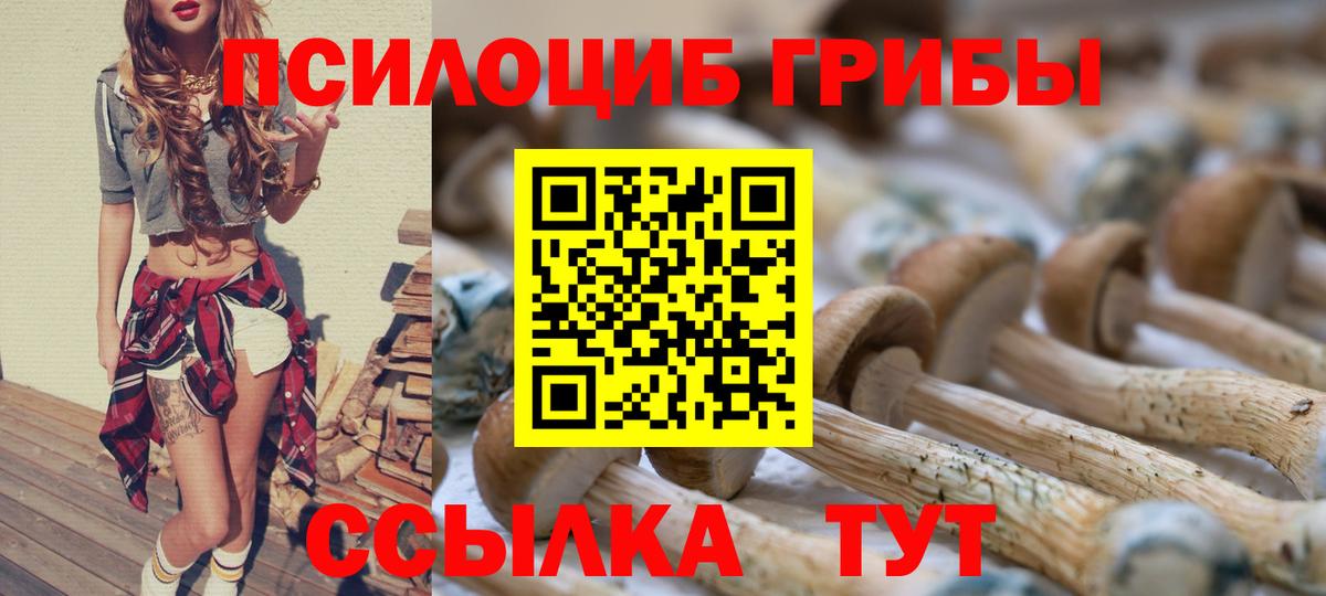 Галлюциногенные грибы прущие грибы  что такое наркотик  Вход с VPN  Мирный  Галлюциногенные грибы Cubensis 