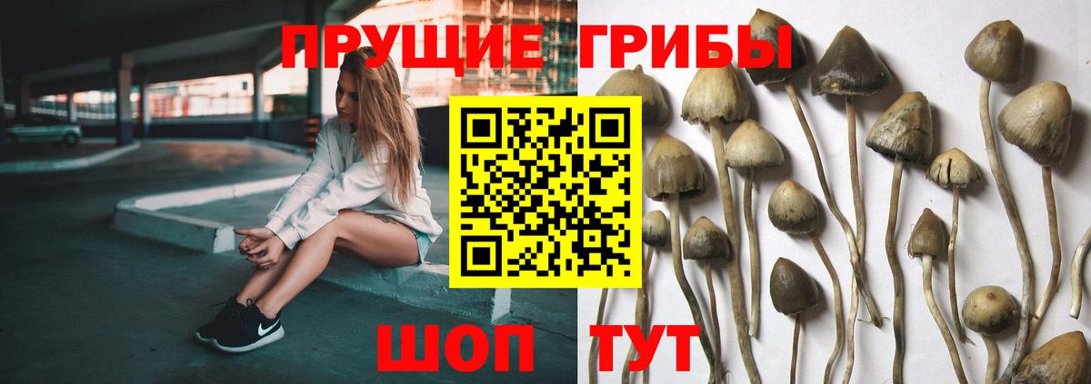 Мирный  КОКАИН  Вход с VPN  Гашиш  Бошки Шишки  Мефедрон  